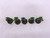 5 x Intercessor Squad (green)