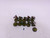 10 x Glade Guard (B, green)