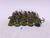 20 x Glade Guard (C, green)