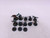 13 x Tarantulos Brood