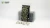 Gamers Grass: Bugloss