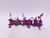 6 x Knights of the Realm/Knights Errant (pink)
