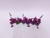 6 x Knights of the Realm/Knights Errant (pink)