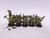 10 x Putrid Blightkings (oop)