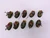 10 x Barrow Knights (oop, red/green)