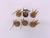6 x Sanguinary Guard