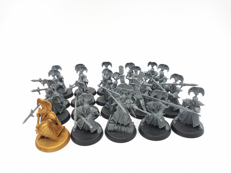 20 x Vanari Auralan Wardens (rough shape)