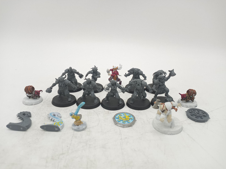 13 x Norse Blood Bowl Team