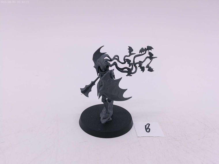 1 x Vampire Lord (B)