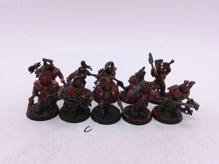 10 x Blood Warriors (painted,C)