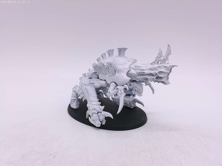 1 x Exocrine
