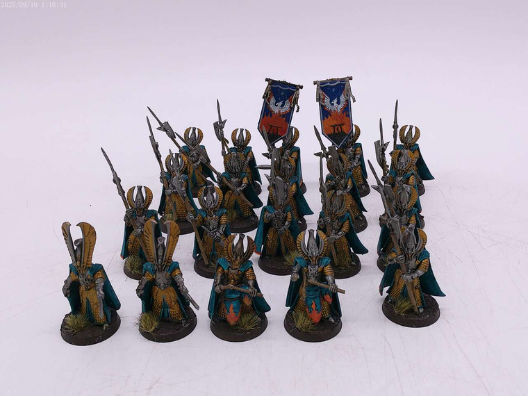 20 x Phoenix Guard (teal/gold)