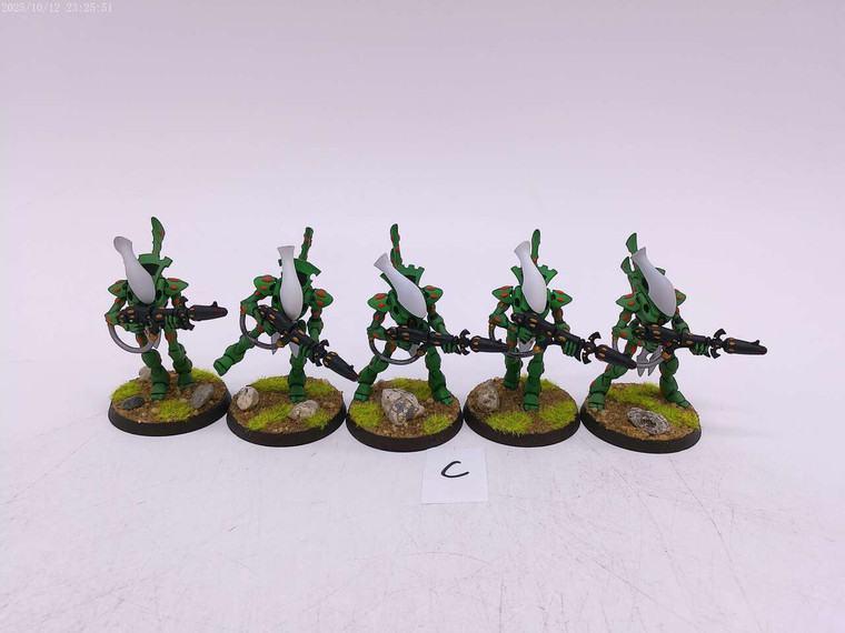 5 x Wraithguard (painted,C)