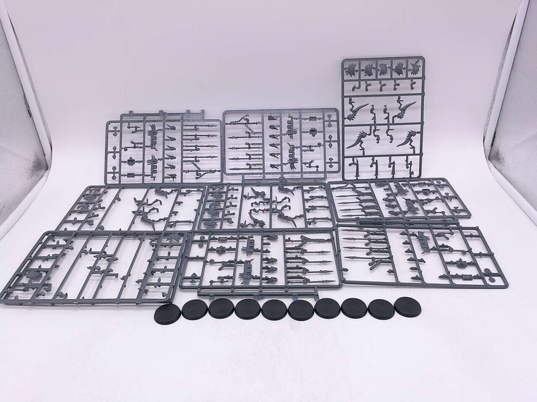 10 x Saurus Warriors (oop, NoS)