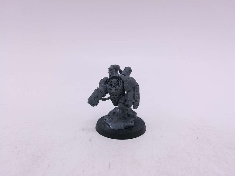 1 x Einhyr Champion (unpainted)