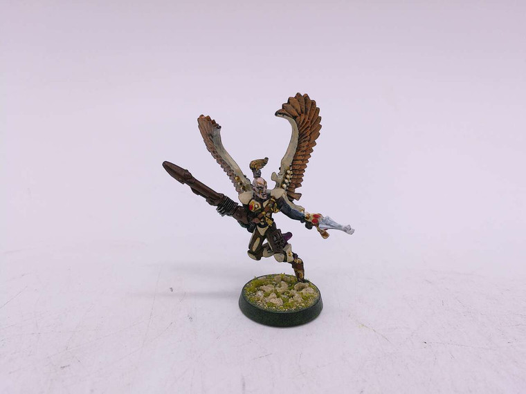 1 x Custom Swooping Hawk Hero
