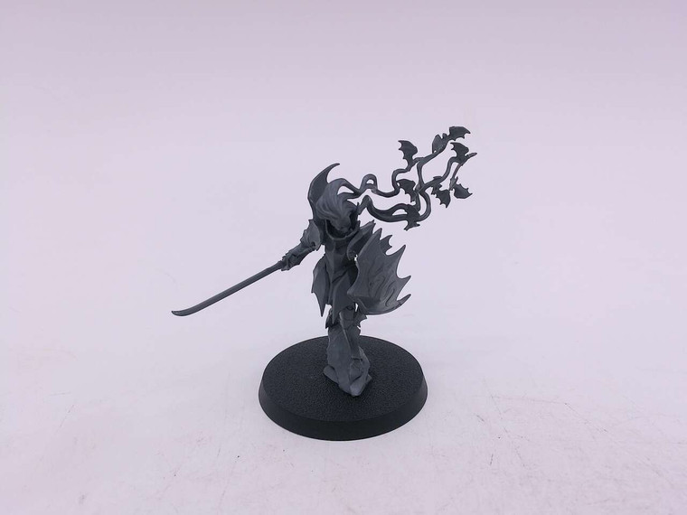 1 x Vampire Lord (unpainted)
