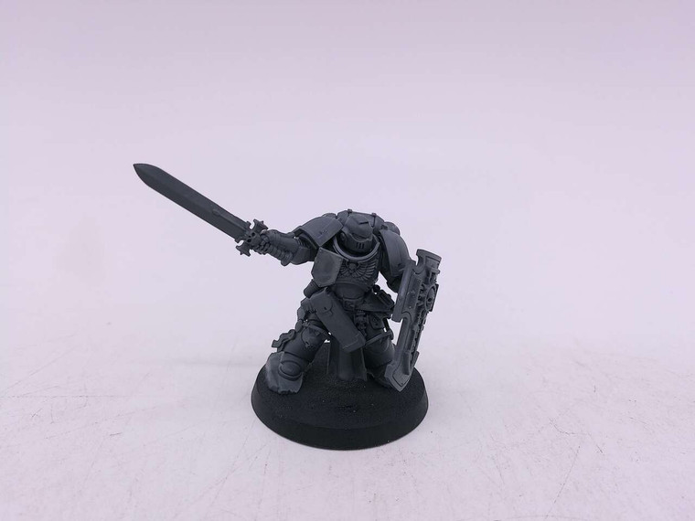 1 x Bladeguard Veteran