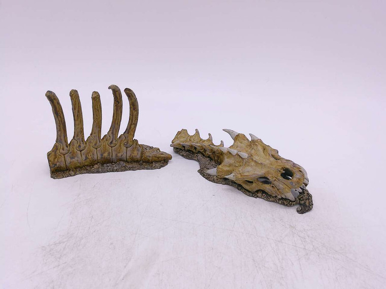1 x Megadroth Remains