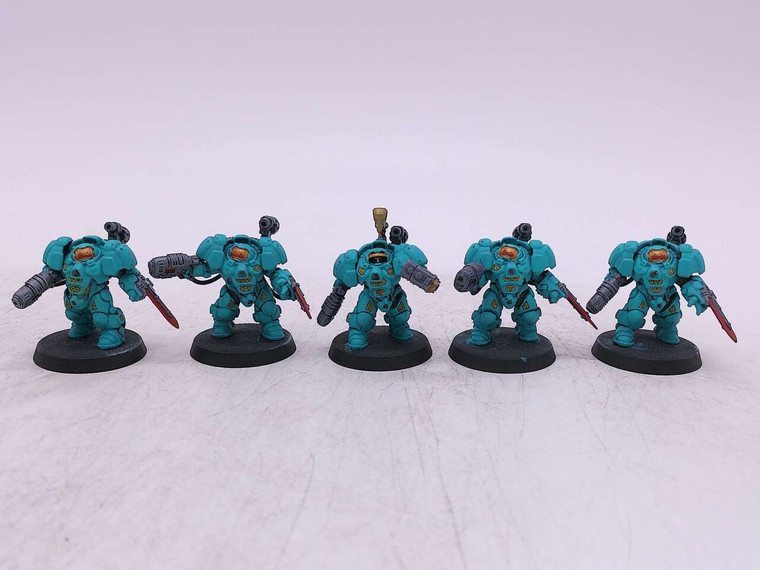 5 x Einhyr Hearthguard (painted)
