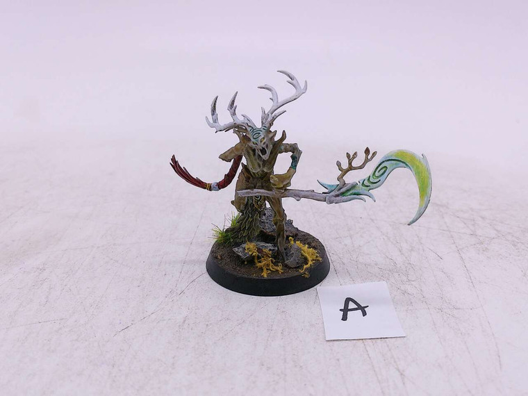1 x Branchwych (A)