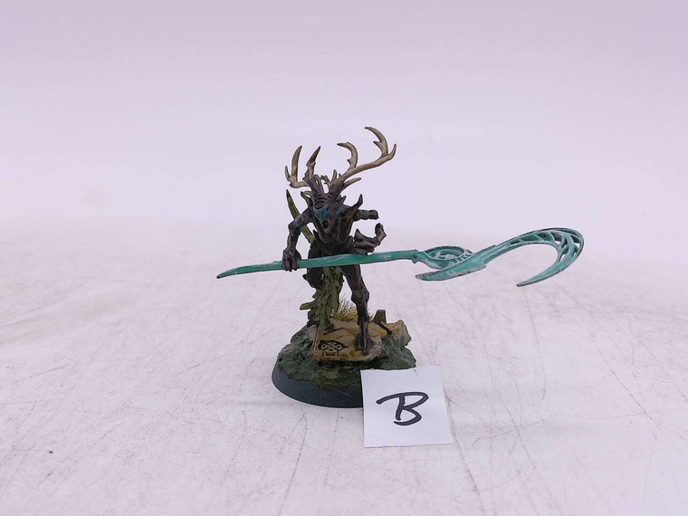 1 x Branchwych (B)