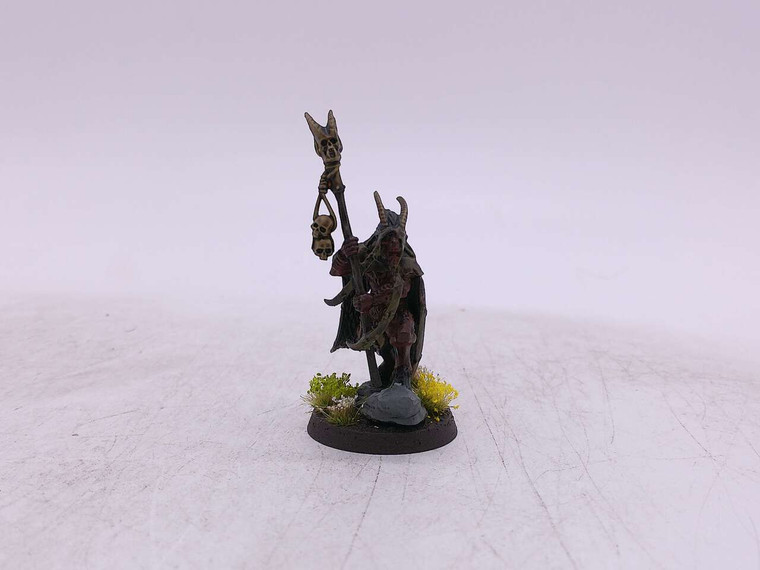 1 x Beastman Shaman