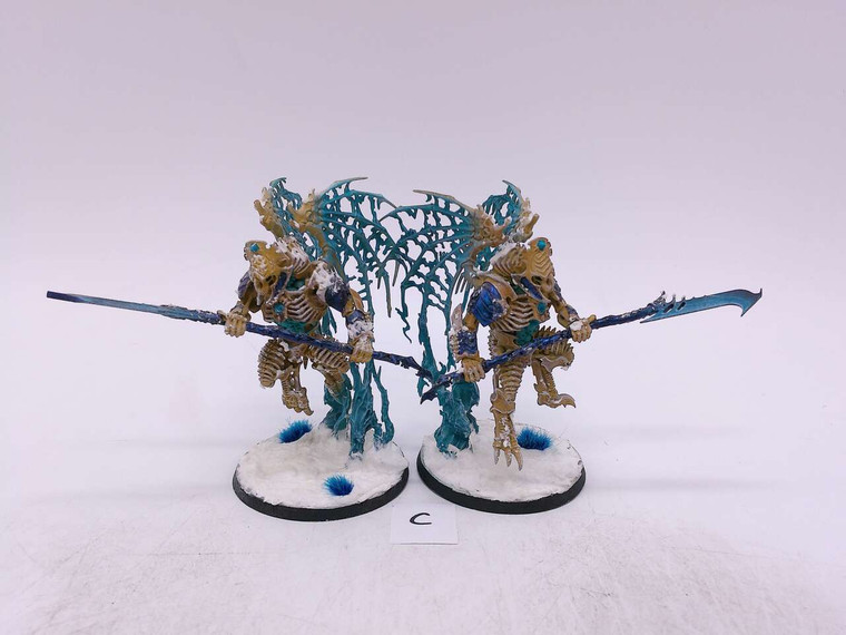 2 x Morghast Archai (painted,C)