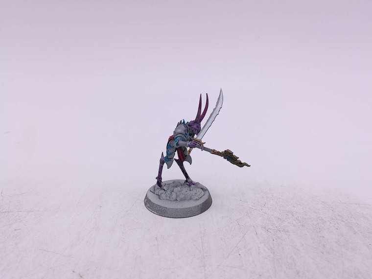 1 x Magister