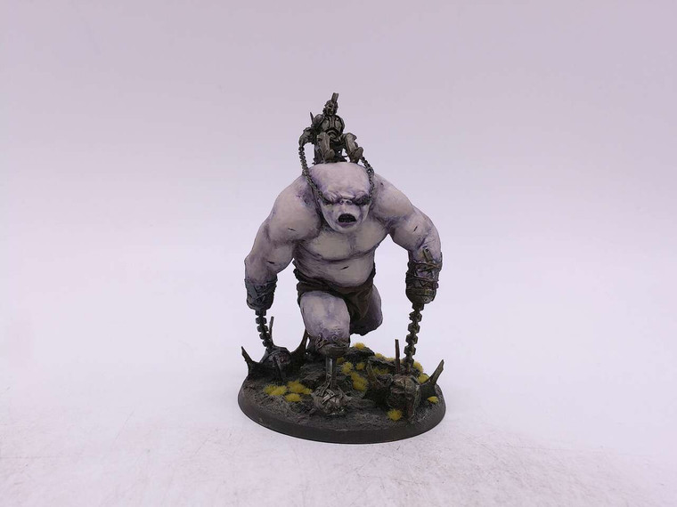 1 x Troll Brute