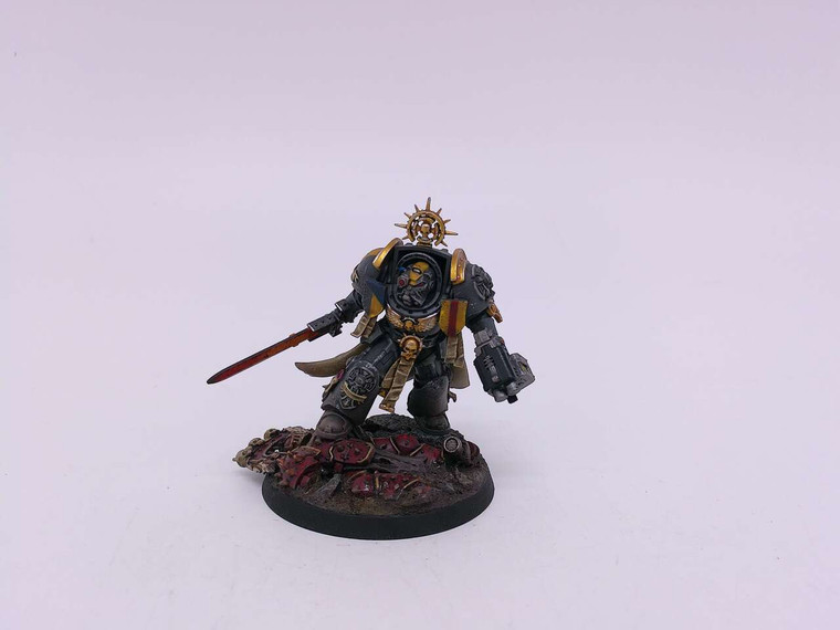 1 x Captain in Terminator Armour (grey/yellow)