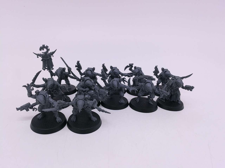 12 x Acolyte Hybrids