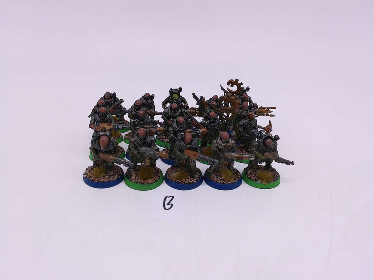 20 x Neophyte Hybrids (B)