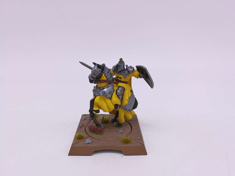 1 x A Song of Ice & Fire The Mountain (painted)