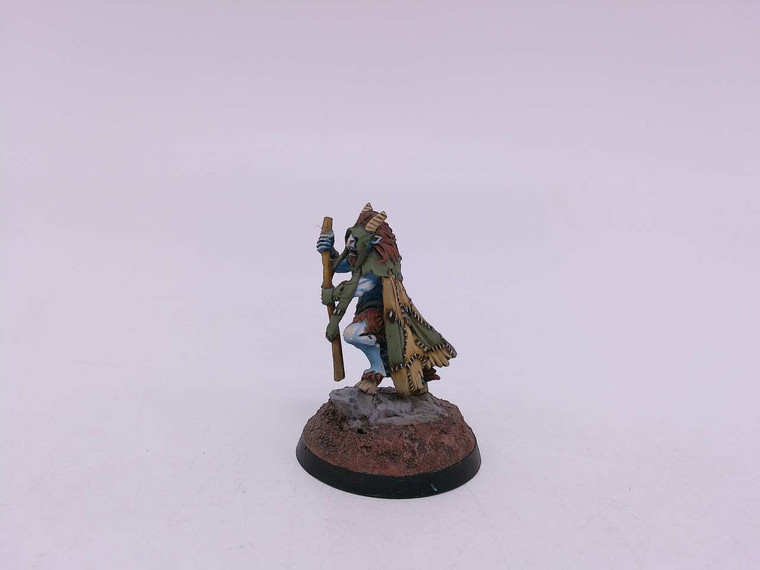 1 x Beastman Shaman (broken staff)