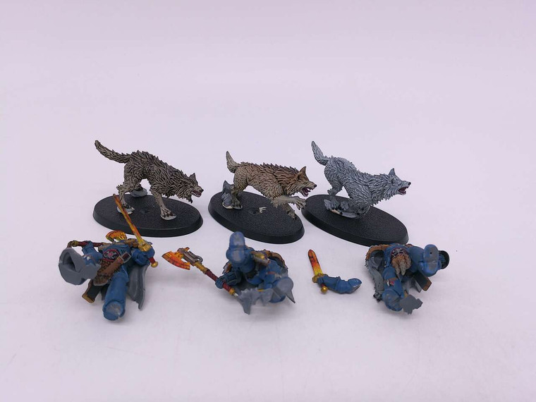 3 x Wolf Guard Headtakers (missing backpack bits)