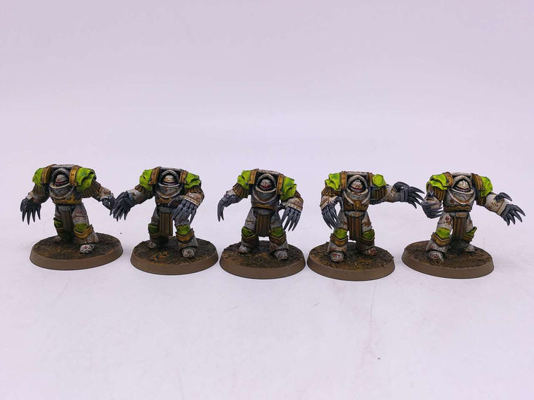 5 x Cataphractii Terminators (oop,green/white)