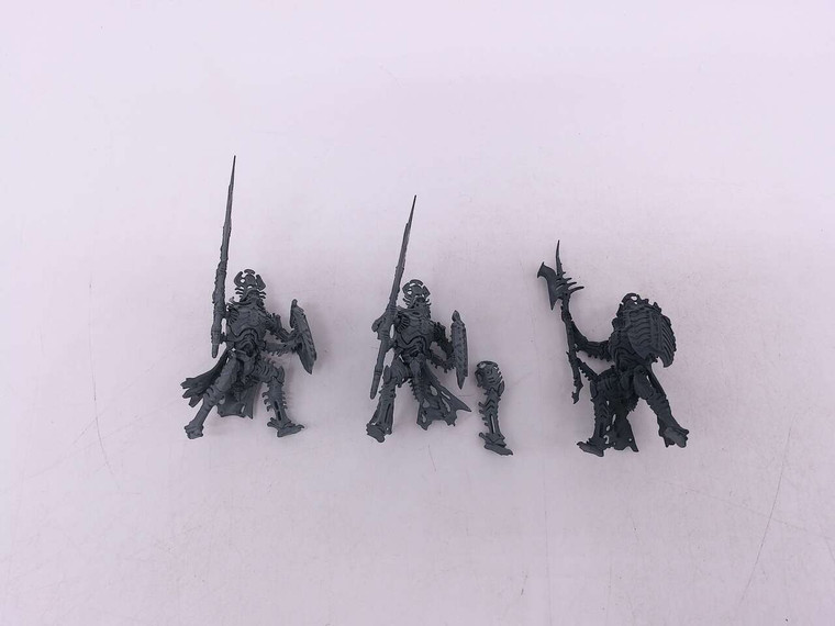 3 x Immortis Guard