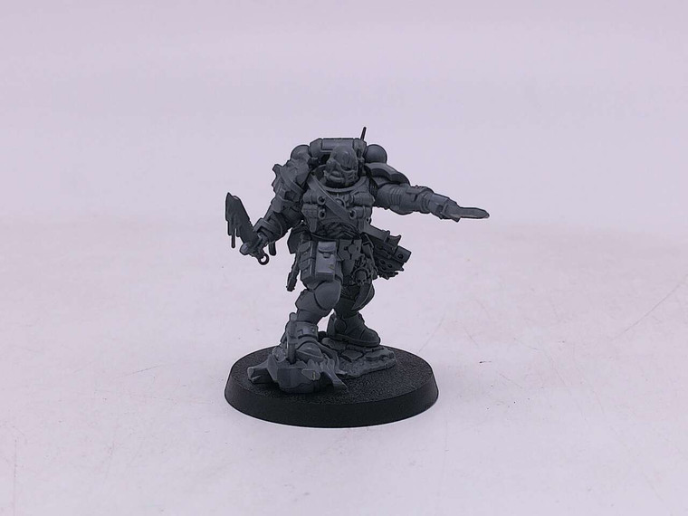 1 x Lieutenant with Combi-Weapon