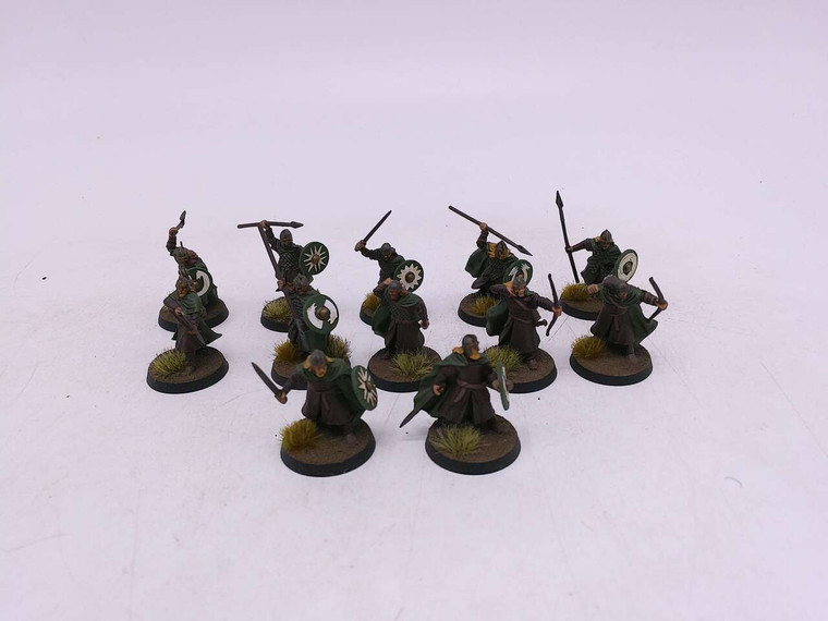 12 x Warriors of Rohan™ (painted)