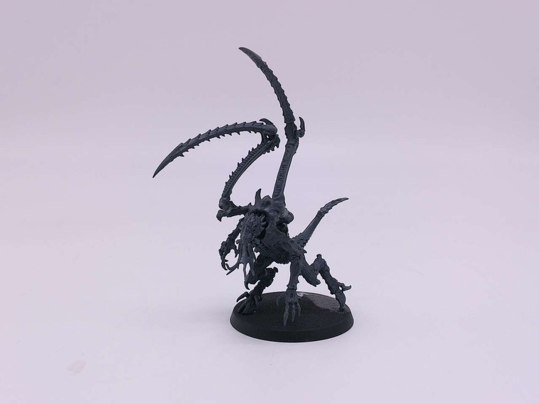 1 x Lictor