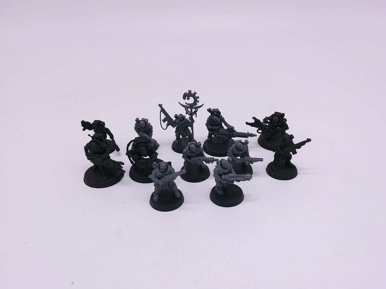 12 x Neophyte Hybrids