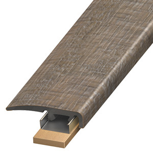 SCAP-SCB5519, SCB5519 SCAP-SCB5519, SCB5519
