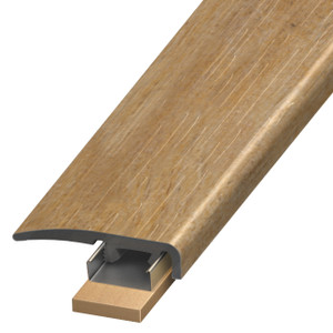 SCAP-123365, Cinnamon