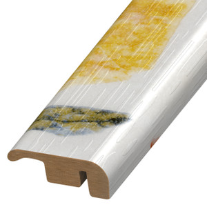 EC-123267, Salute Grisio