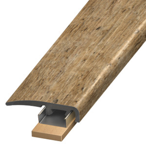 SCAP-125383, Sonoran