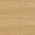 Dune Oak