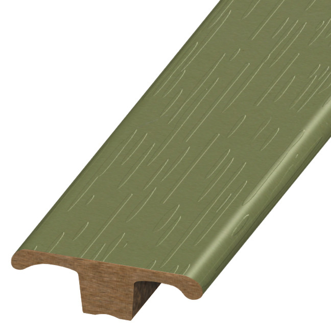 TM-123645, T-Molding, Olive, 4148