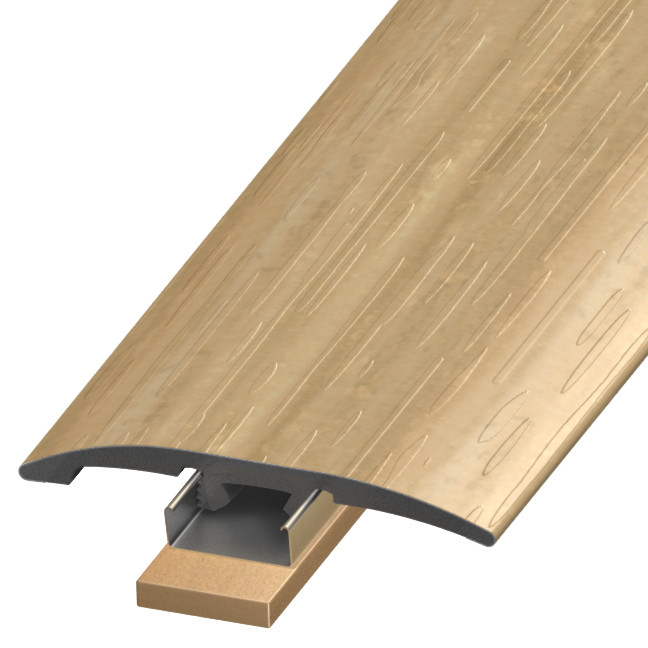 SLT-123183, North Sea Coast