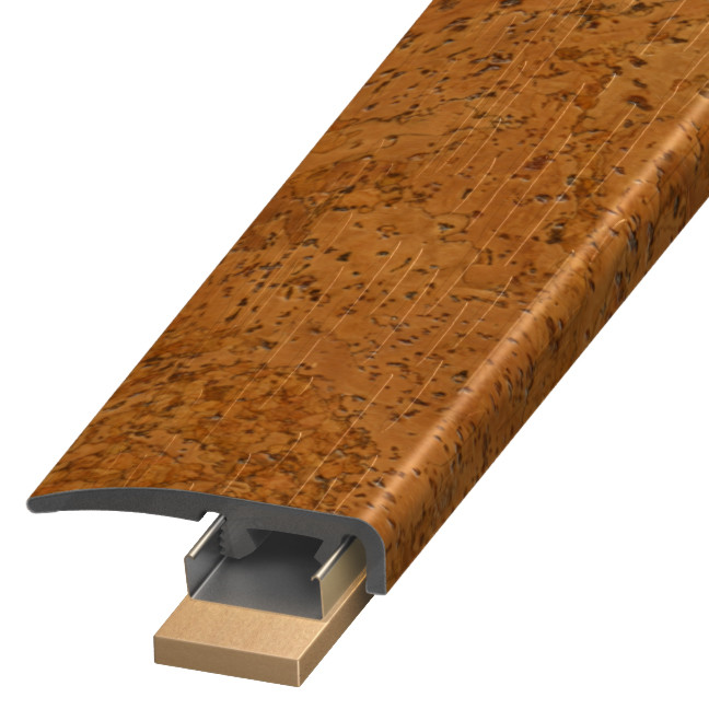 SCAP-128180, Renaissance Earth